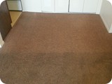 Before/After Carpet