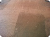 Before/After Carpet