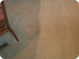 Before/After Carpet